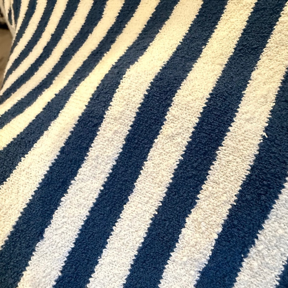 Free People Striped Top